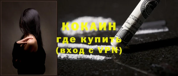 стаф Липки