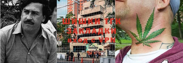 стаф Липки
