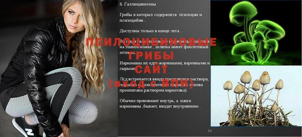 первитин Лиски