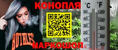 дживик Гай