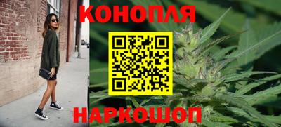 дживик Гай