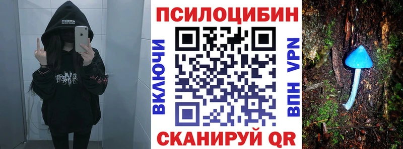 Галлюциногенные грибы мицелий  купить наркотик  Фролово 