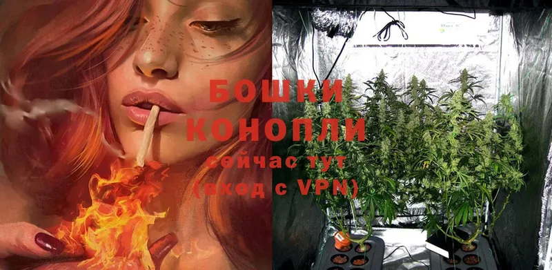 omg ссылки  Фролово  Каннабис THC 21%  купить наркоту 